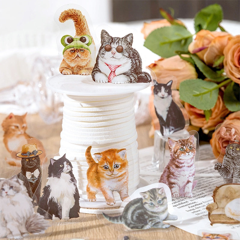 Cat Cute Cartoon Hand-Painted Clear Transparent Sticker Pack