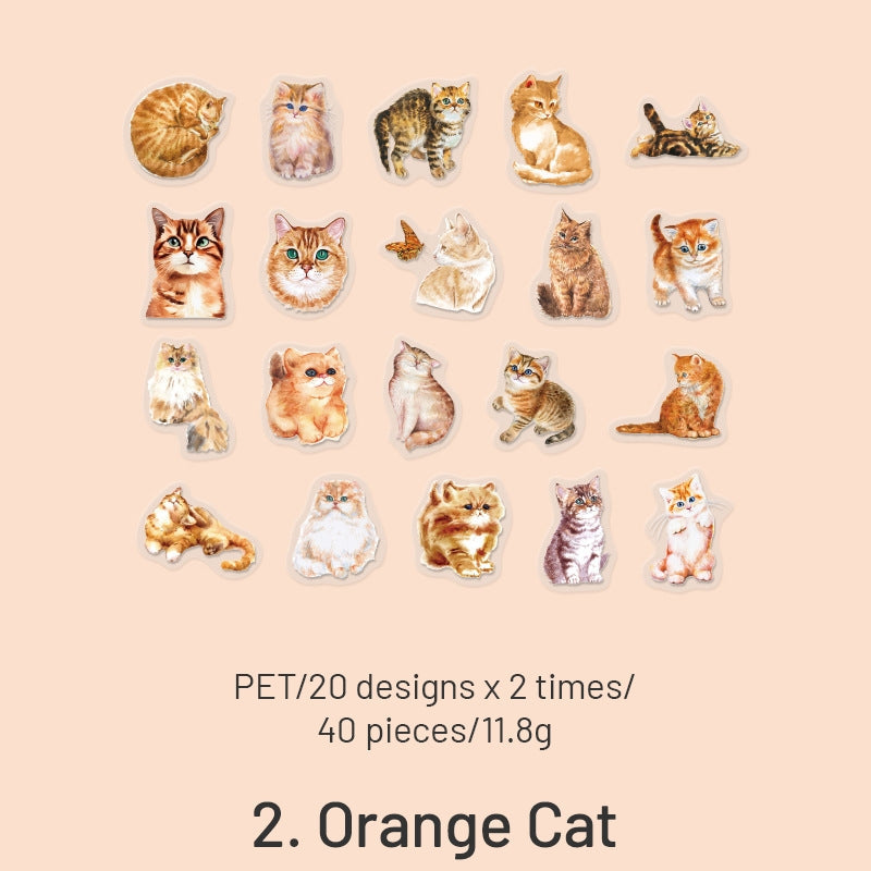 Cat Cute Cartoon Hand-Painted Clear Transparent Sticker Pack