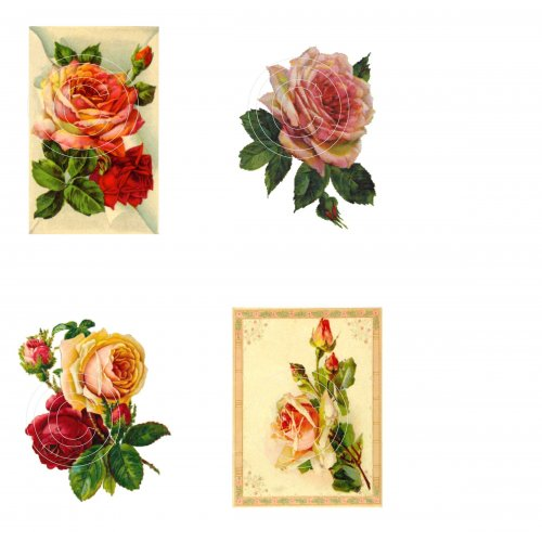 Floral 1, Vintage Hue Acetate