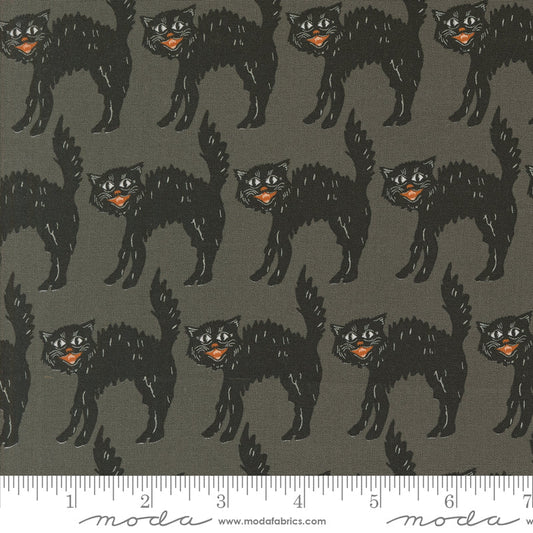 Home Sweet Haunt - Little Black Cat in Stone - Stacy Iest Hsu - 20915 12 - Half Yard