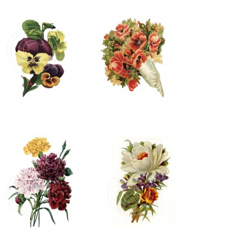 Floral 2, Vintage Hue Acetate