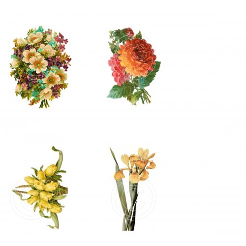 Floral 3, Vintage Hue Acetate