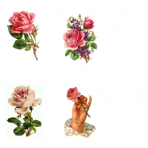 Florals 4, Vintage Hue Acetate