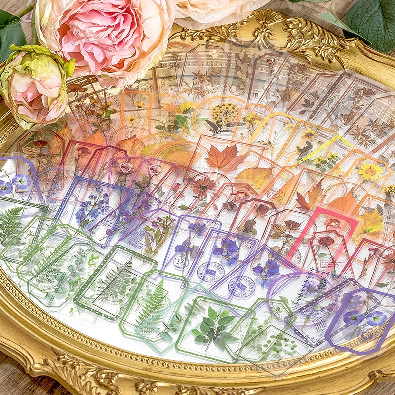 Flowers in the Fog Series Retro Plant Frame Clear Transparent Sticker Pack