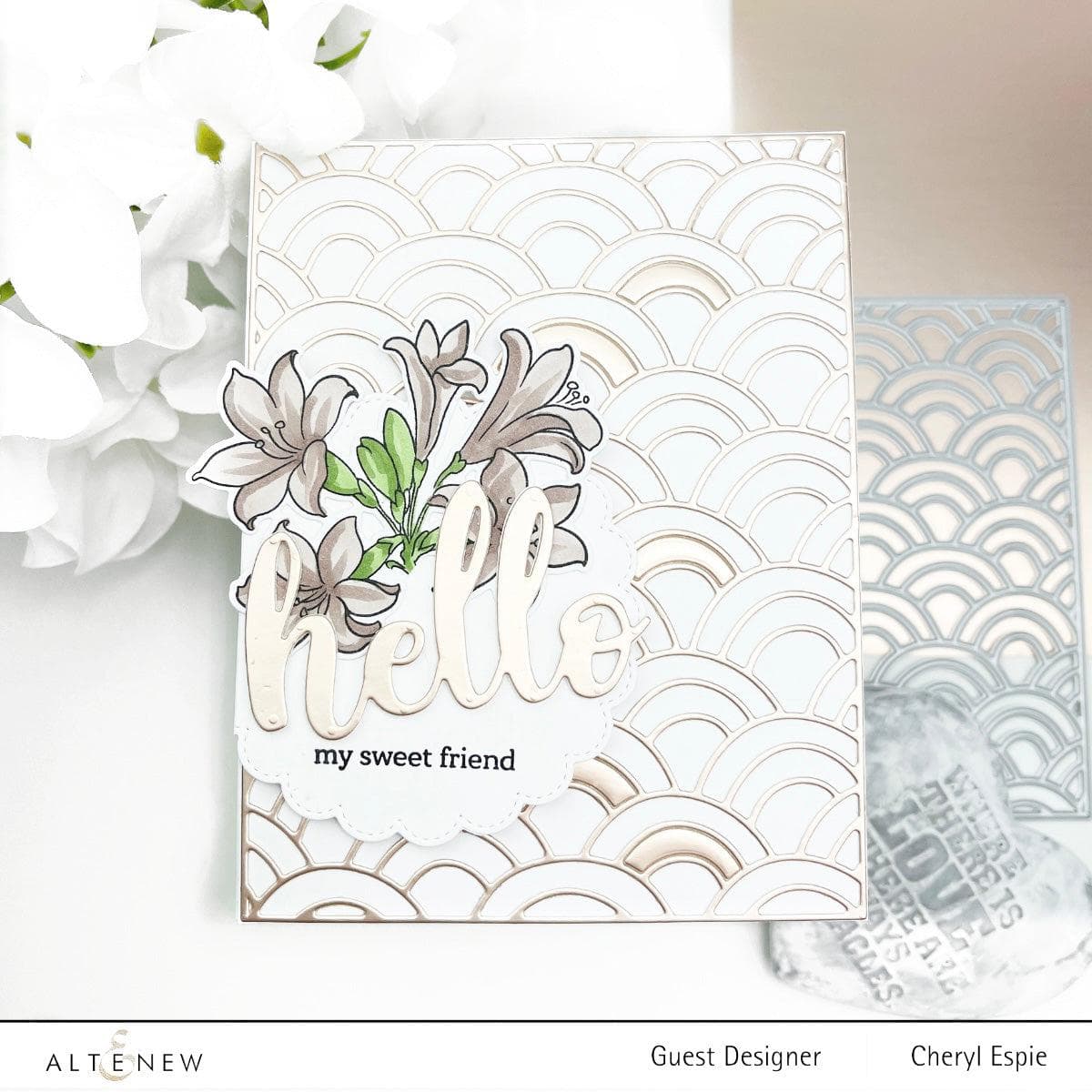 Scalloped Circles Hot Foil Plate Set